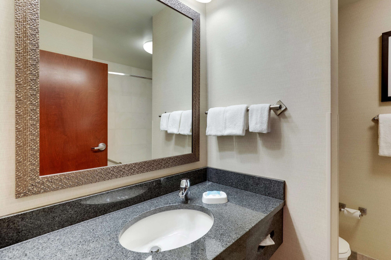 Bathroom, Drury Inn & Suites Kansas City Independence, Kansas City