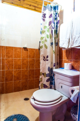 Bathroom 3, Hostal Mexiquillo, San Dimas