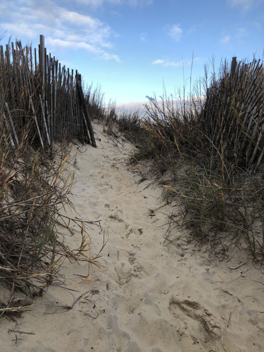 Property grounds 2, Blackbeard's Retreat - Historic And Pet Friendly 3 Bedroom Cottage by RedAwning, Dare