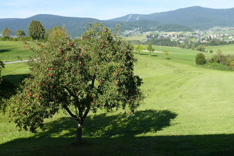 Others 3, HOCHFICHTBLICK Apartments, Rohrbach im Mühlkreis