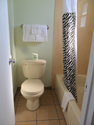 Bathroom 2, A OK Motel, Cooke