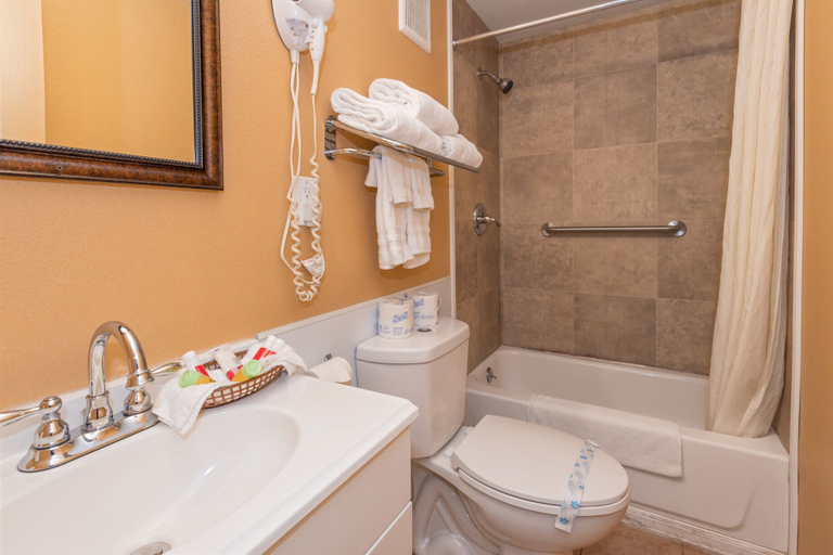 Bathroom 3, Town Motel, Clallam