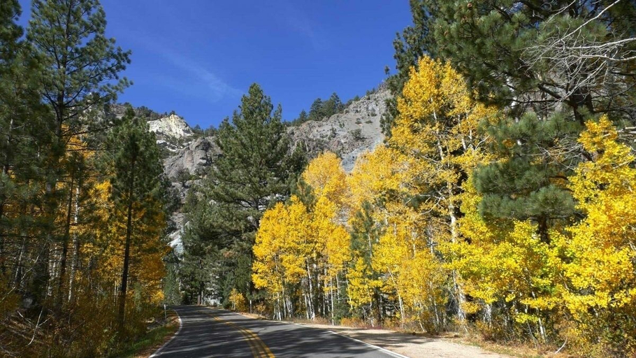 Property grounds 4, Sunny, Spacious & Pet Friendly - Creekside #39 by Bear Valley Vacation Rentals, Alpine