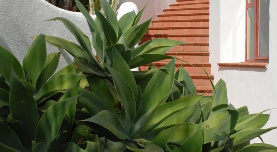 Exterior detail, La Locanda Azzurra, Imperia