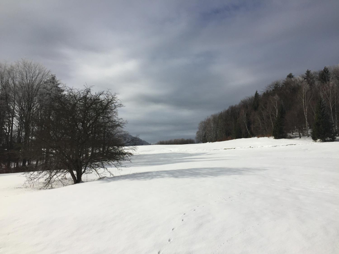 Others 3, Pokoje Goscinne Vida, Nowy Sącz