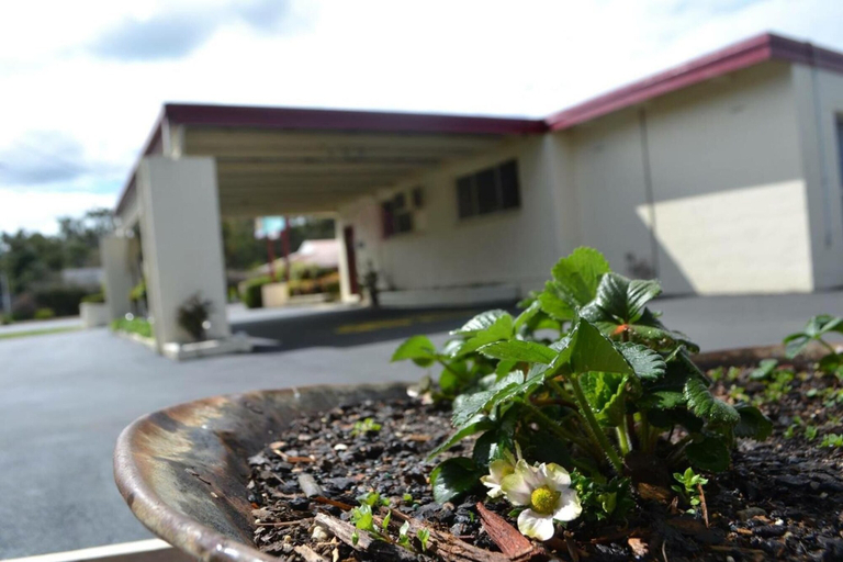 Exterior & Views 2, Wattle Motel, Mitchell - North