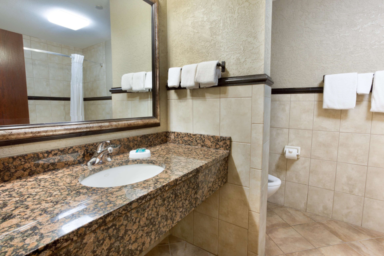 Bathroom 4, Drury Inn & Suites Flagstaff, Coconino