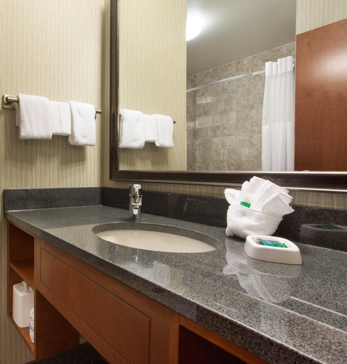 Bathroom 4, Drury Plaza Hotel Indianapolis Carmel, Hamilton