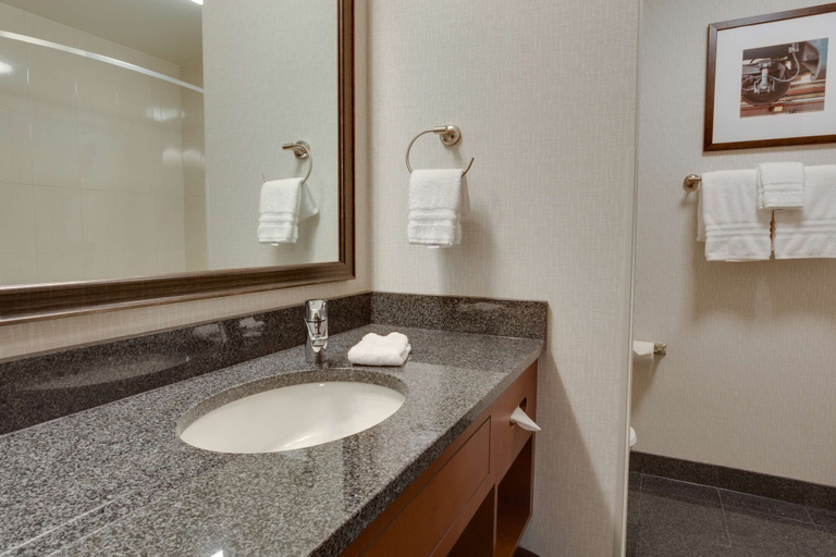 Bathroom, Drury Plaza Hotel St. Louis St. Charles, Saint Charles