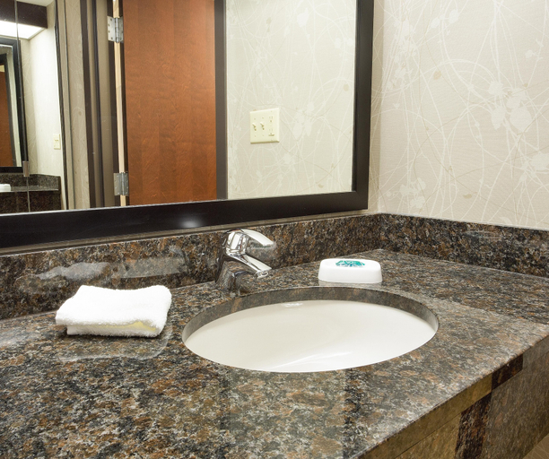 Bathroom 4, Drury Inn & Suites Greensboro, Guilford