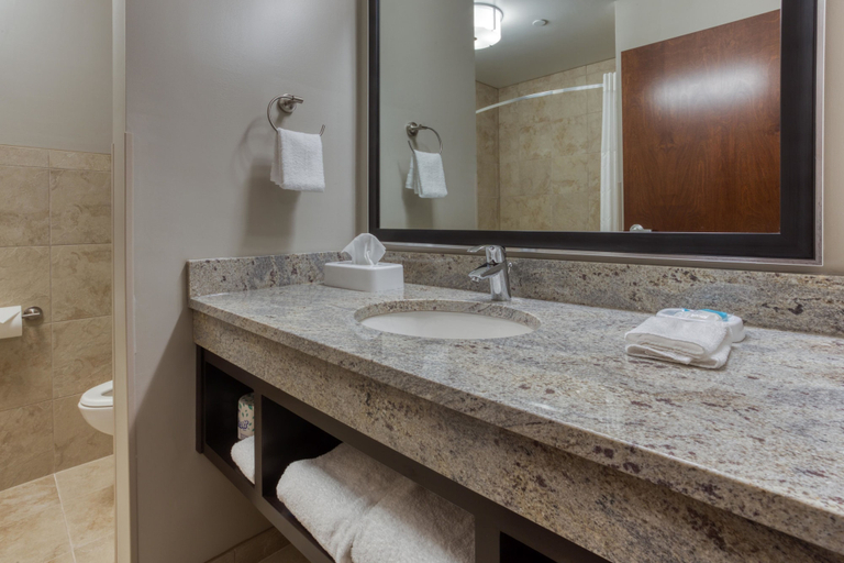 Bathroom 5, Drury Plaza Hotel Dallas Richardson, Collin