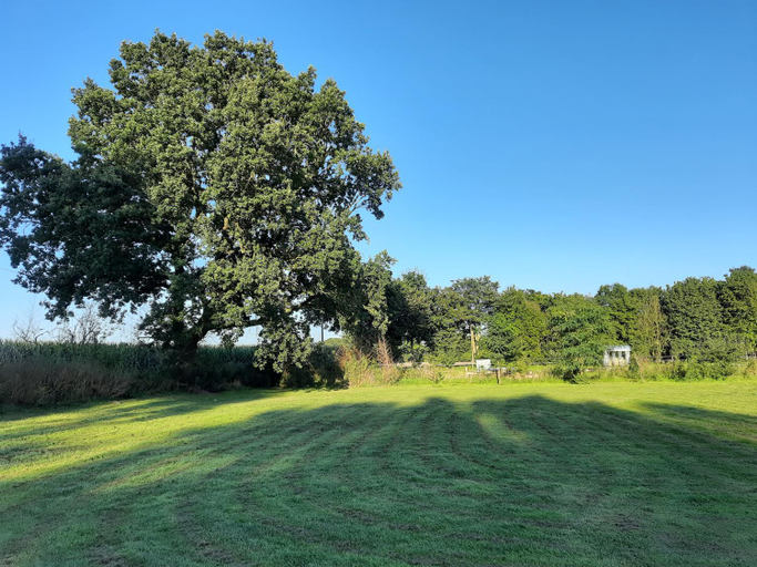 Surrounding environment 5, Landhaus SiebenEichen, Oldenburg