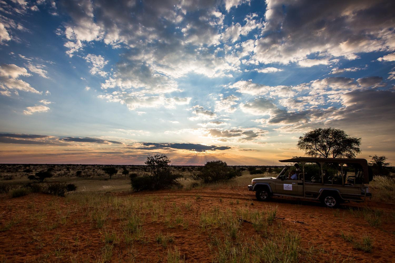 Others 4, Gondwana Kalahari Anib Lodge, Mariental Rural
