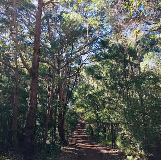Others 5, Harmony Forest, Augusta-Margaret River