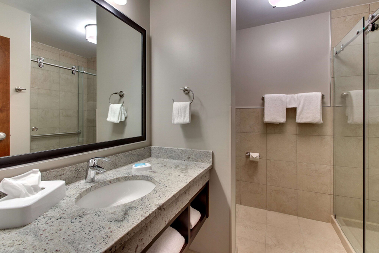 Bathroom 4, Drury Inn & Suites Cleveland Beachwood, Cuyahoga
