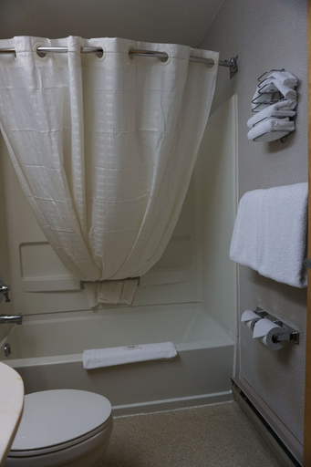 Bathroom 3, CenterWay Hotel Buffalo North Near University, Erie