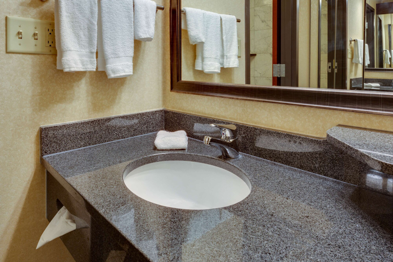 Bathroom 4, Drury Inn & Suites Memphis Southaven, Desoto