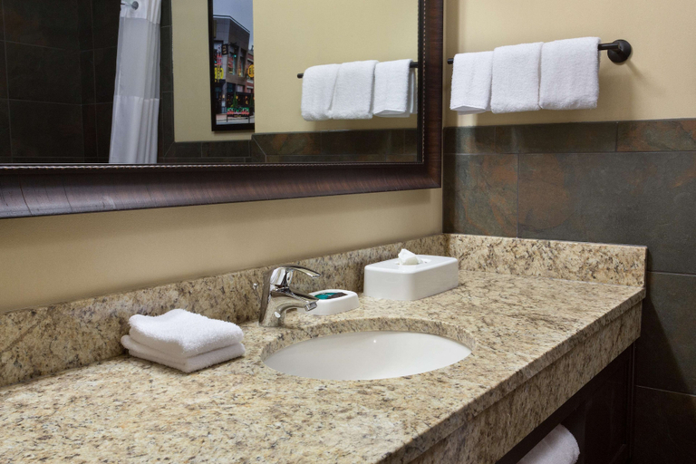 Bathroom, Drury Inn & Suites Louisville North, Jefferson