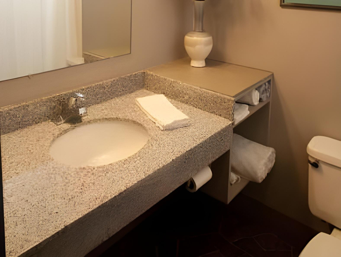 Bathroom 2, Vintage Block Inn & Suites, Dickinson