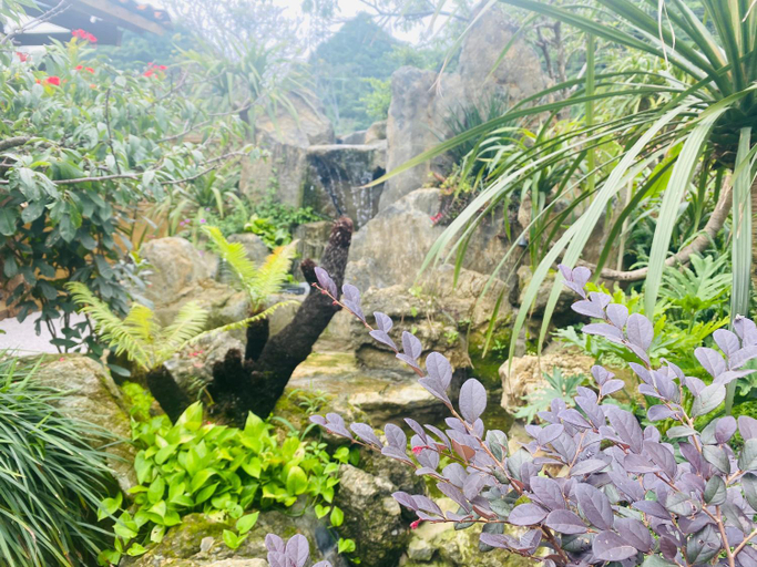 3, Chau homestay - Moc Chau , Son La, Mộc Châu
