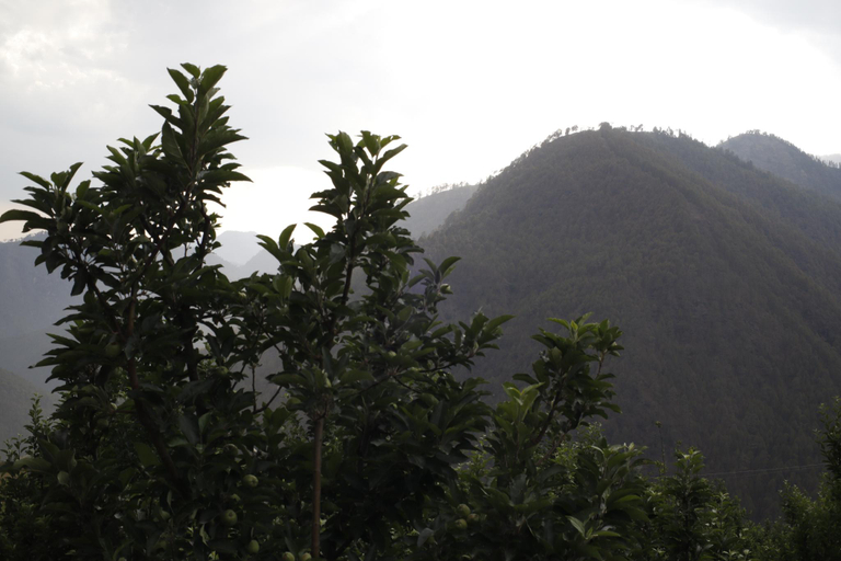 Others 3, Benzer Stays, Uttarkashi