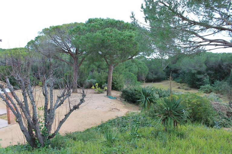 Others 5, Villa Sant Vicenc, Barcelona