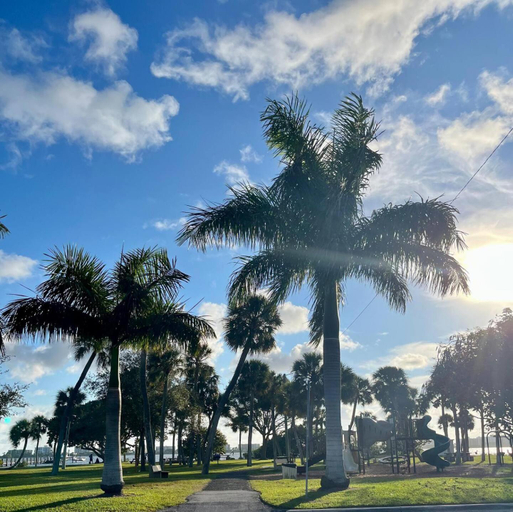Others 5, Life's a Beach, Palm Beach