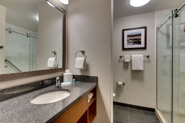 Bathroom 5, Drury Plaza Hotel Richmond, Henrico