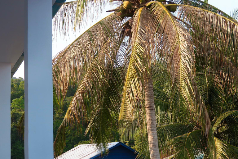 Others 3, Waterfall Guesthouse, Sihanoukville