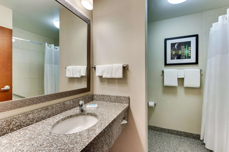 Bathroom 5, Drury Inn & Suites near Universal Orlando Resort, Orange