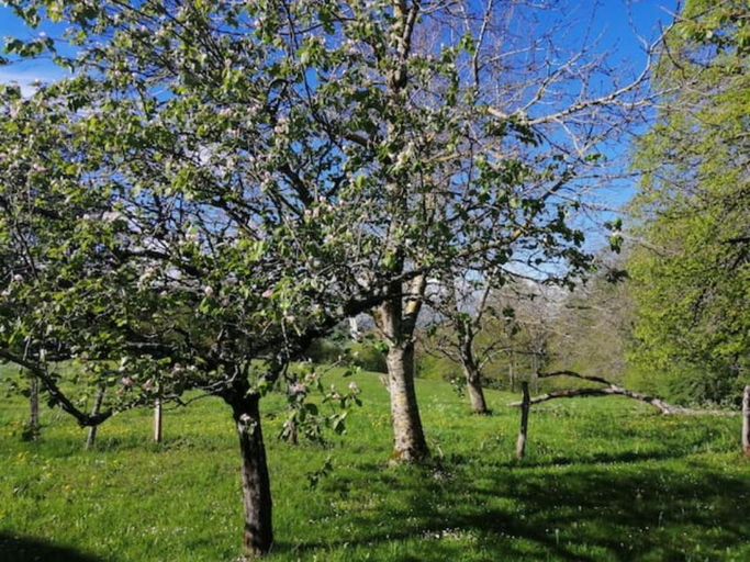 2, La Louve Chez Valerie, Jura