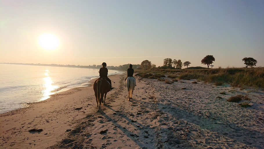 Others 5, Glamping och Gardslagenhet Mellan himmel och hav, Ystad