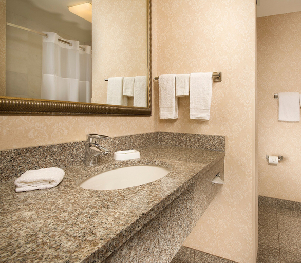 Bathroom 4, Drury Inn & Suites Columbus Grove City, Franklin