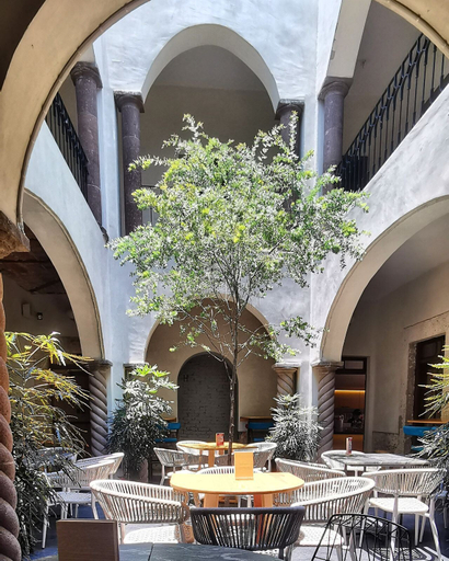 Food & Drinks 4, Casa Maka, San Luis Potosí