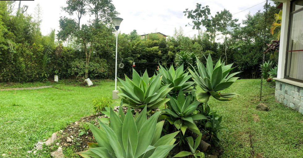 Others 3, Cotinga Hotel Spa, Pereira