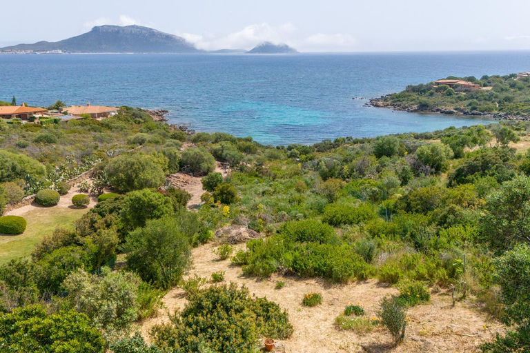 Others 3, VILLA ARANZOS, Olbia-Tempio