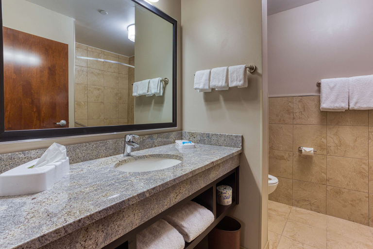 Bathroom 4, Drury Inn & Suites Cincinnati Northeast Mason, Warren