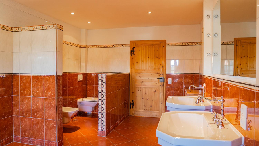 Bathroom 3, Landvilla Theresien-Gut, 20 - 25 Personen, Ostallgäu