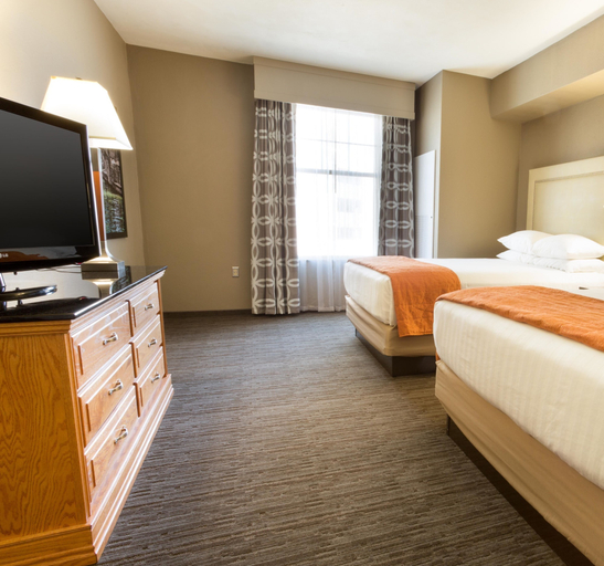 Bedroom 3, Drury Inn & Suites San Antonio North Stone Oak, Bexar
