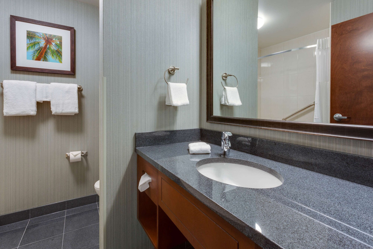 Bathroom 5, Drury Inn & Suites Gainesville, Alachua