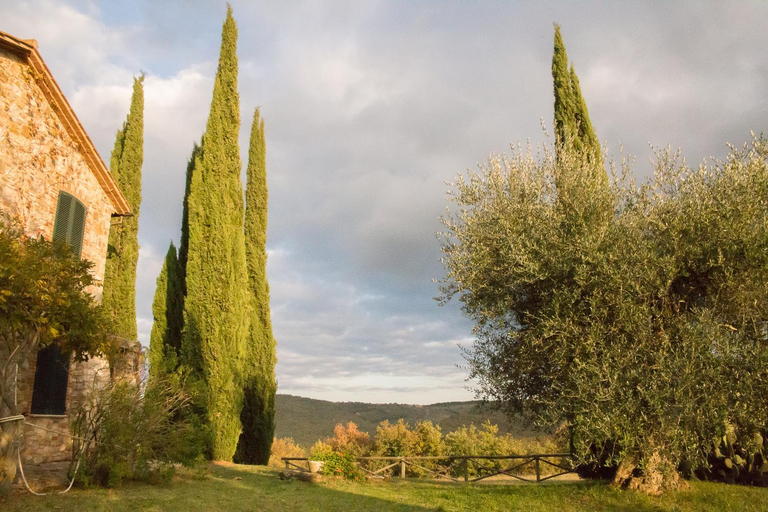 4, Villa Lavanda, Terni