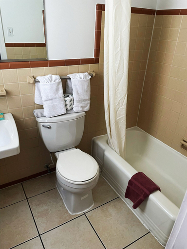 Bathroom 4, Kings Arms Motel, Worcester