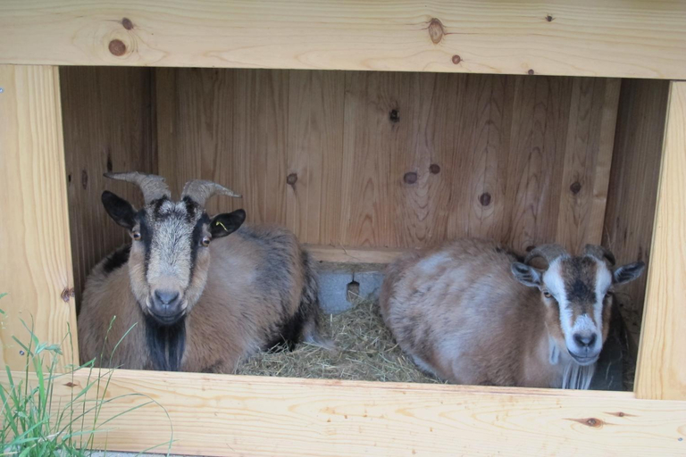 Sport & Beauty, le Corral chambre d'hote, Ardèche
