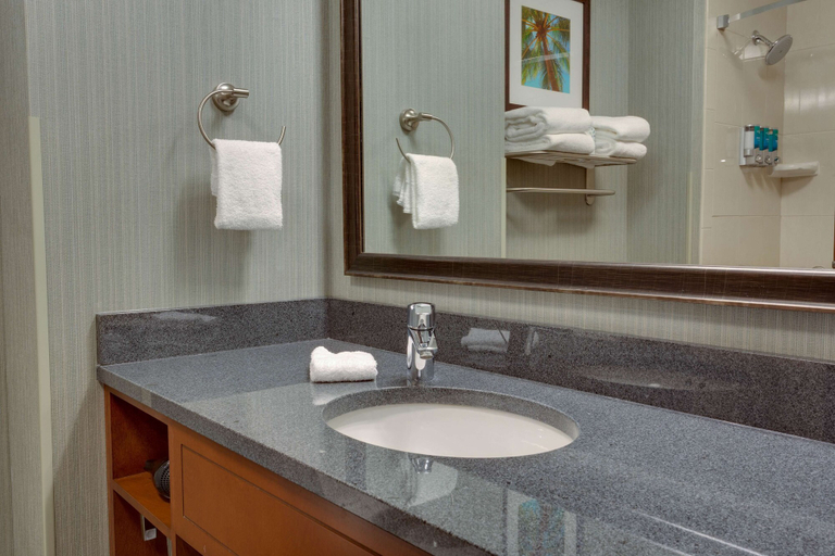 Bathroom 5, Drury Inn & Suites Gainesville, Alachua