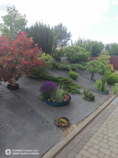 Garden 3, Pokoje na wzgorzu, Kartuzy