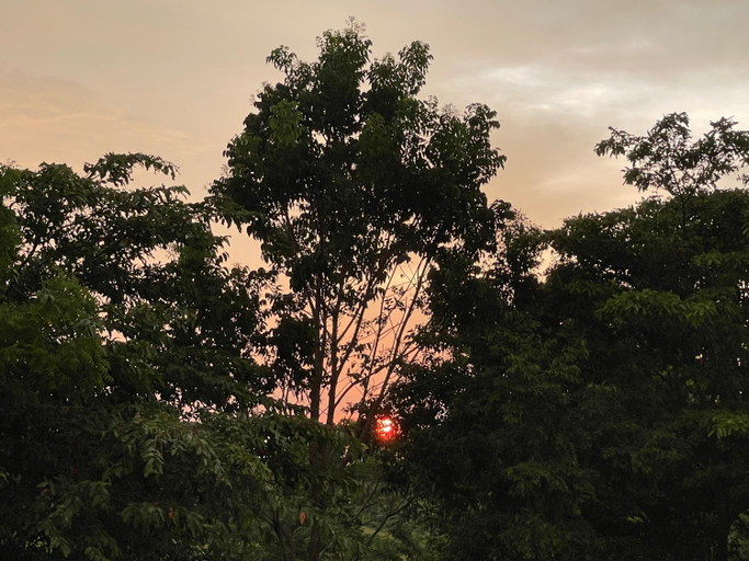 5, Nature's Hideaway, N. Palatha Central