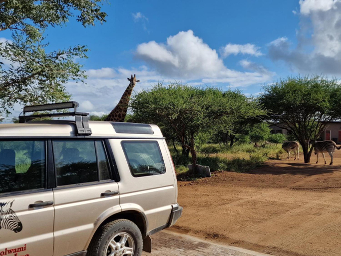 Others 3, Thandolwami Bushlodge, Mopani