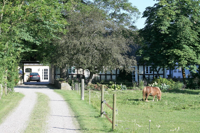 Entrance 5, Rødkærgård Bed & Breakfast, Kerteminde