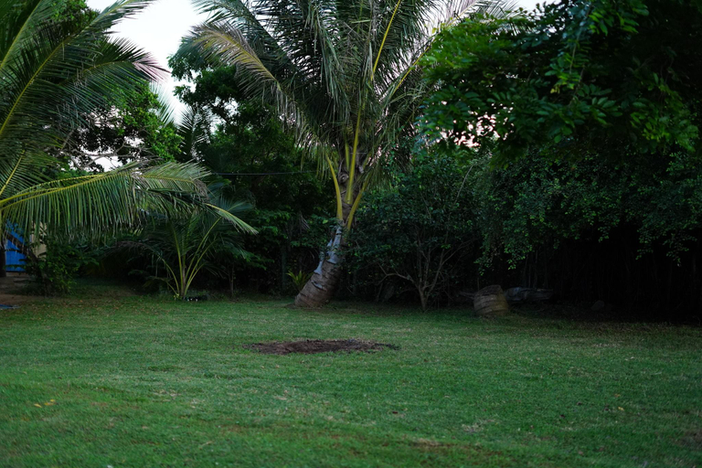 Others 4, Sakura Cherry Blossom Cabanas, Hambantota
