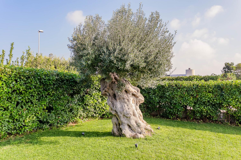 Others 4, Villa Incanto nel Blu by Wonderful Italy, Bari